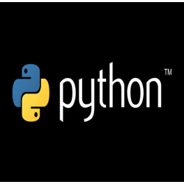 From zero to skill: Development course on Python