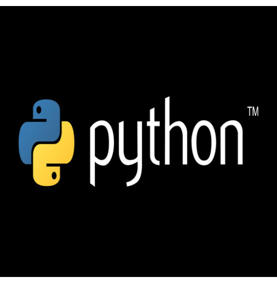 From zero to skill: Development course on Python